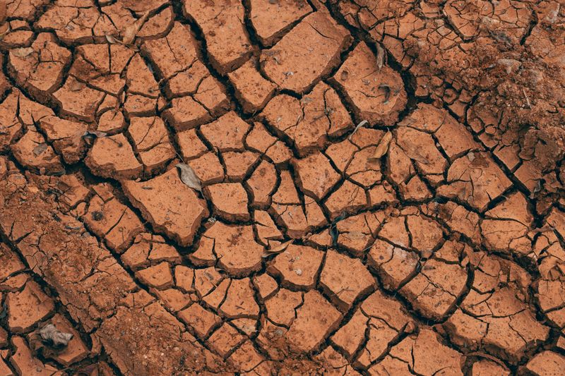 Fast-Release Fertilizer Is Doing More Damage Than You Think