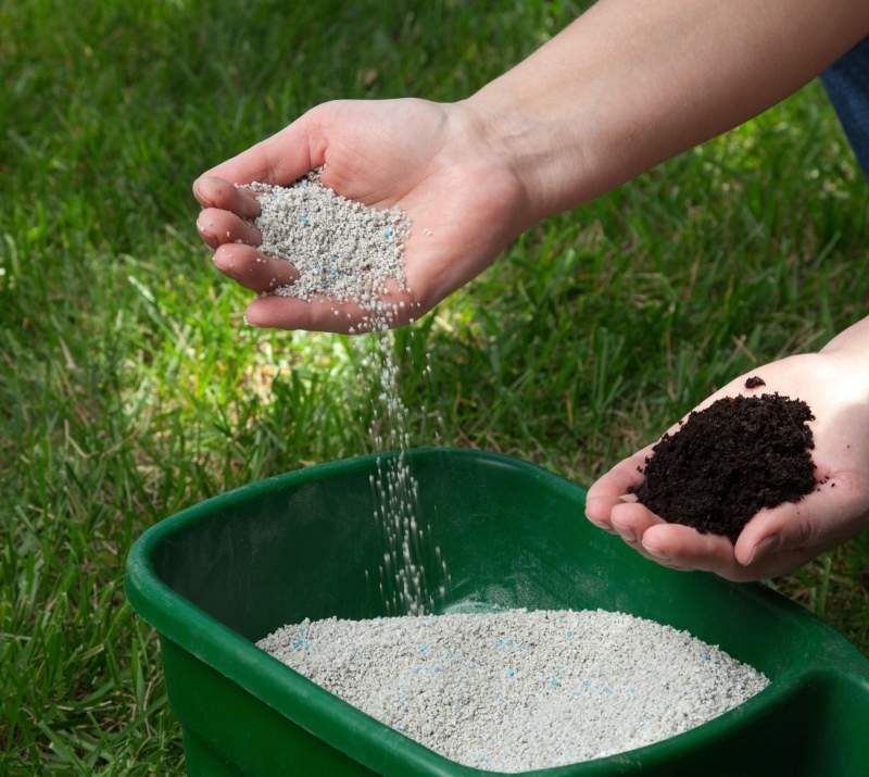 Fast Release Nitrogen Pushes Soft Vulnerable Growth