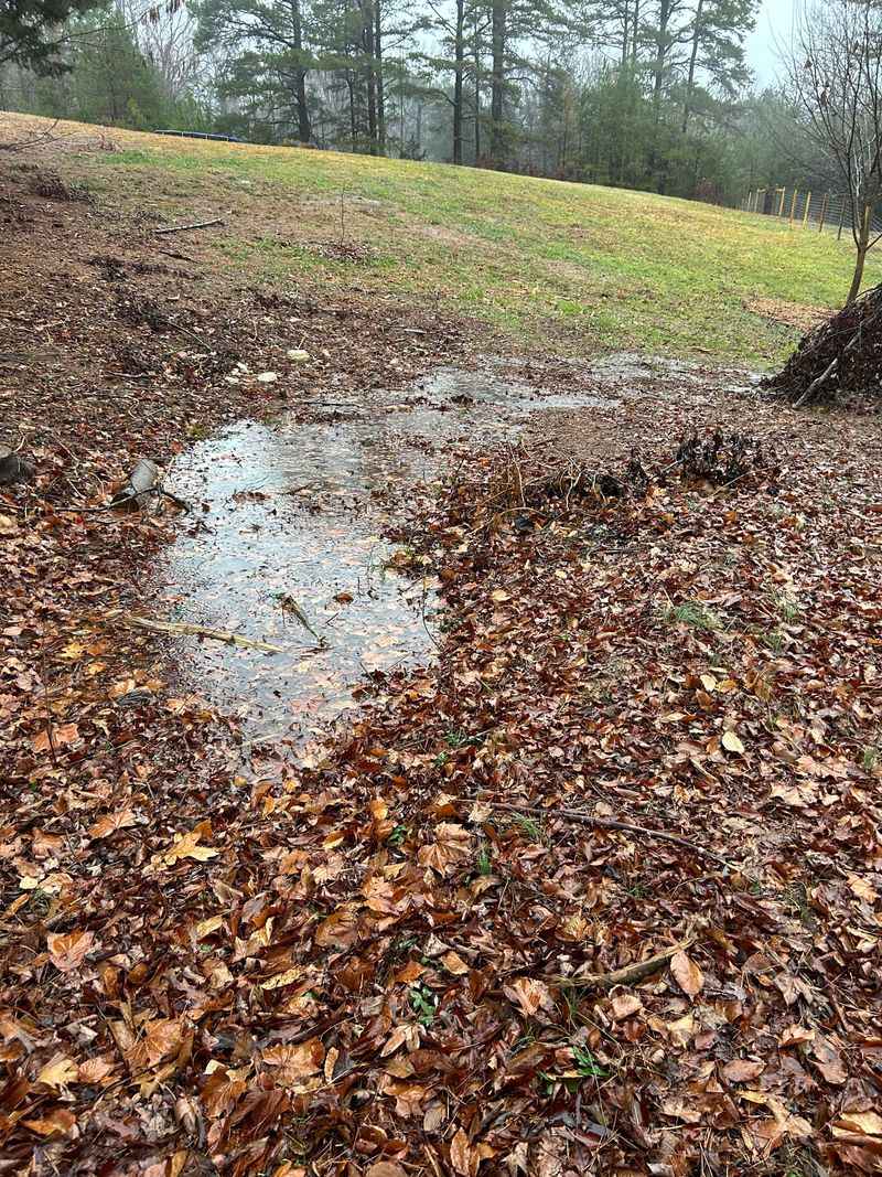 Fast Runoff Wastes Water Before Roots Can Use It