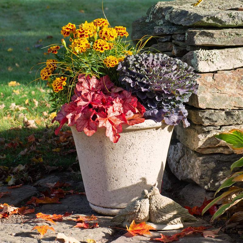 Feed Containers And Check Drainage After Spring Rain