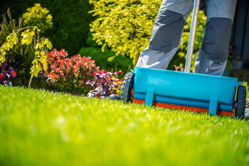 Feed Garden Beds Without Overdoing It