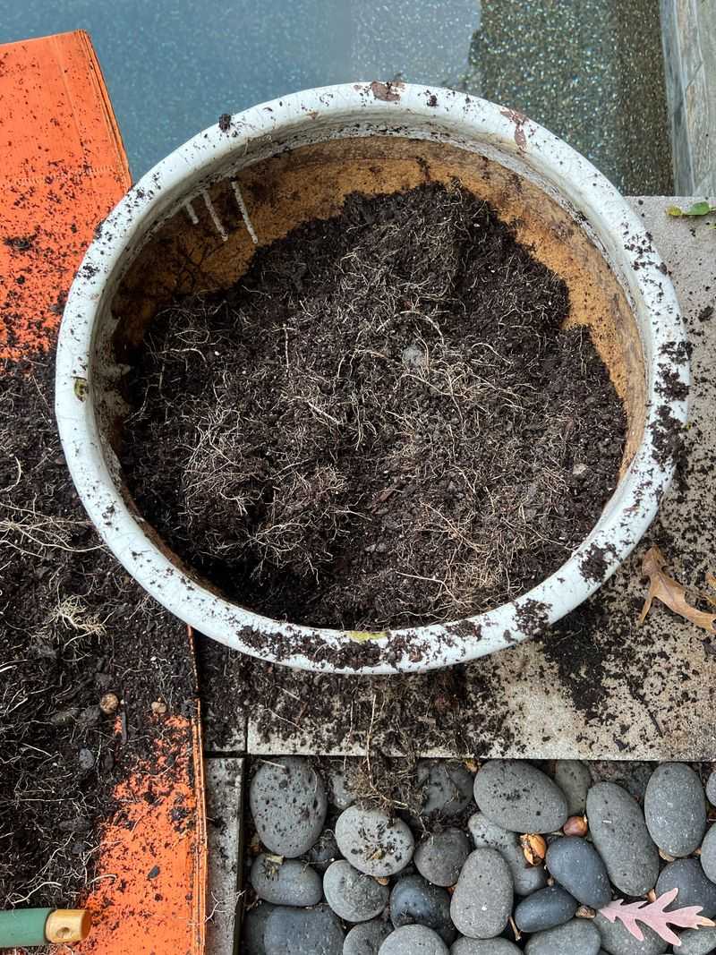 Feed The Compost Pile, Not The Trash Can Feed The Compost Pile, Not The Trash Can