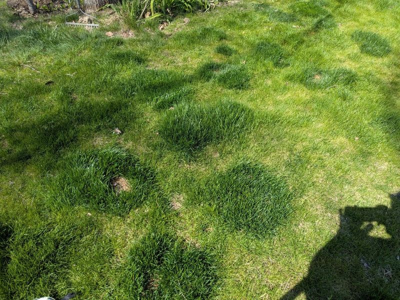 Fertilize Appropriately Fertilize Appropriately