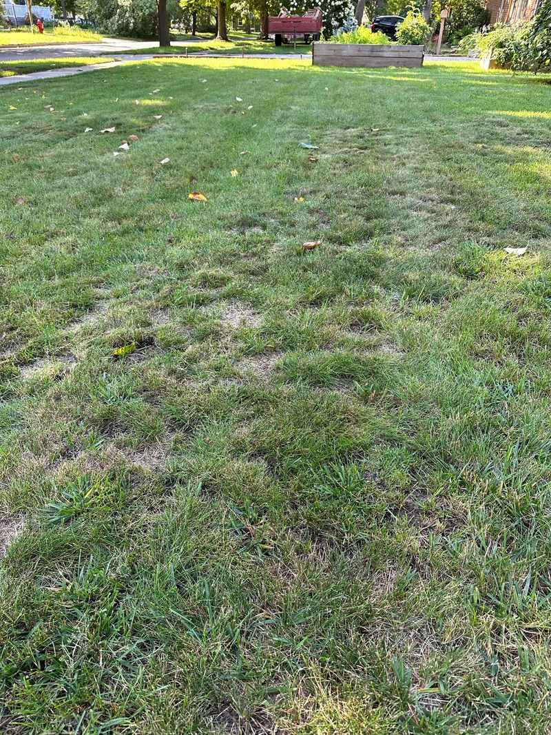 Fill Low Areas Gradually Over Time