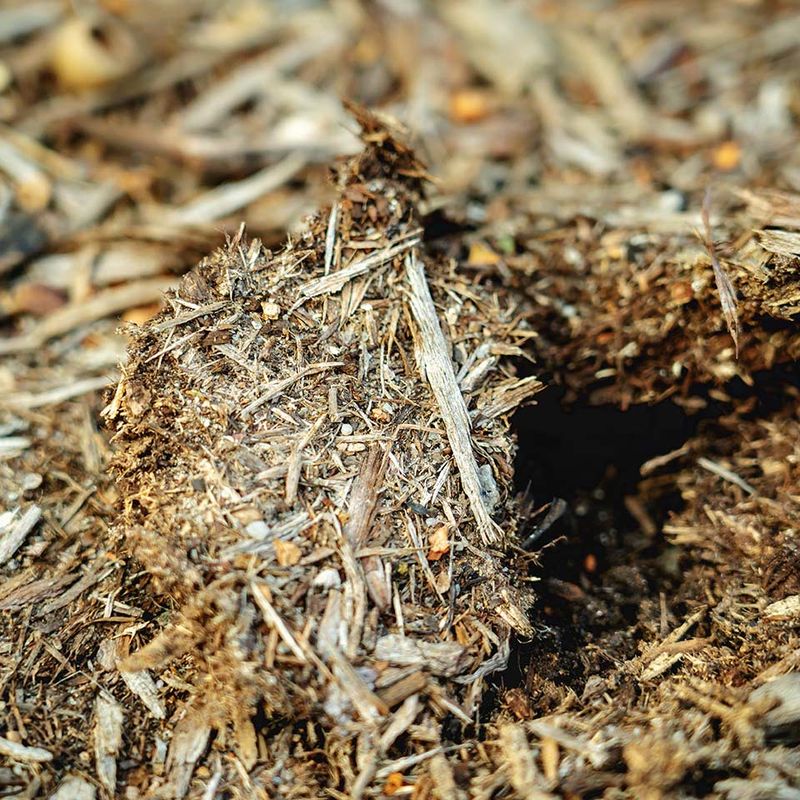 Fine Or Matted Mulch Can Block Water And Air
