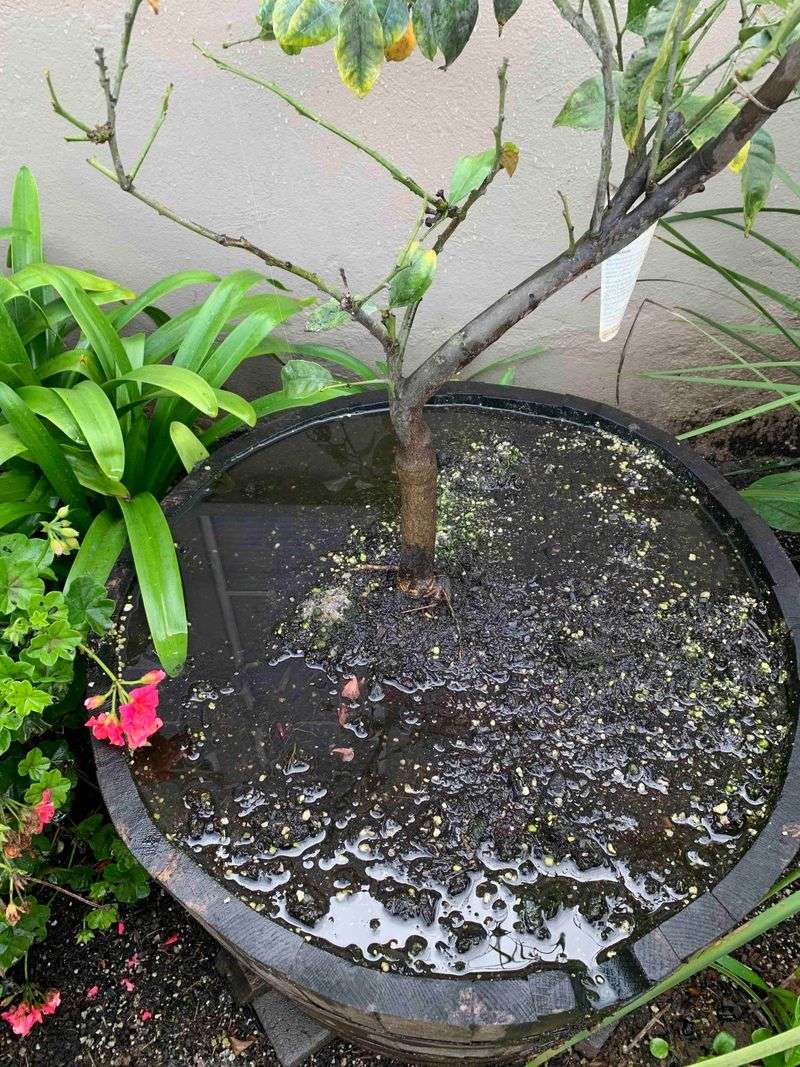 Fix Drainage Problems Before Summer Rain Builds