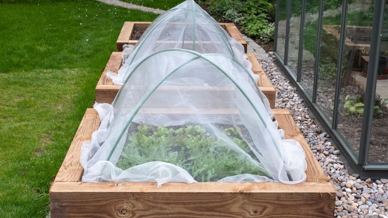 Floating Row Covers Stop Many Garden Pests Before They Start