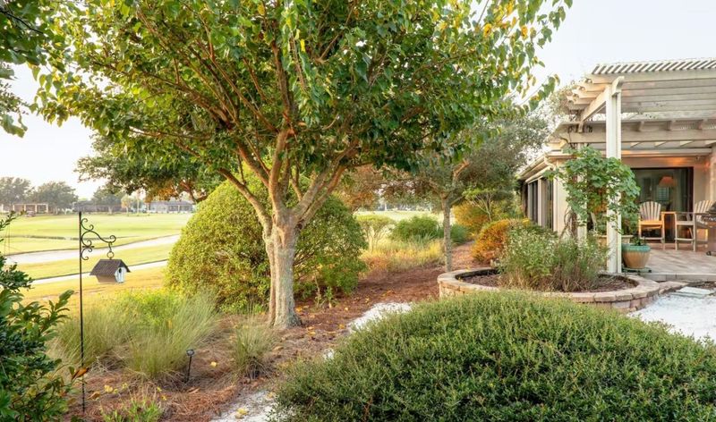 Florida Yards Are Breaking Up With Thirsty Ornamentals