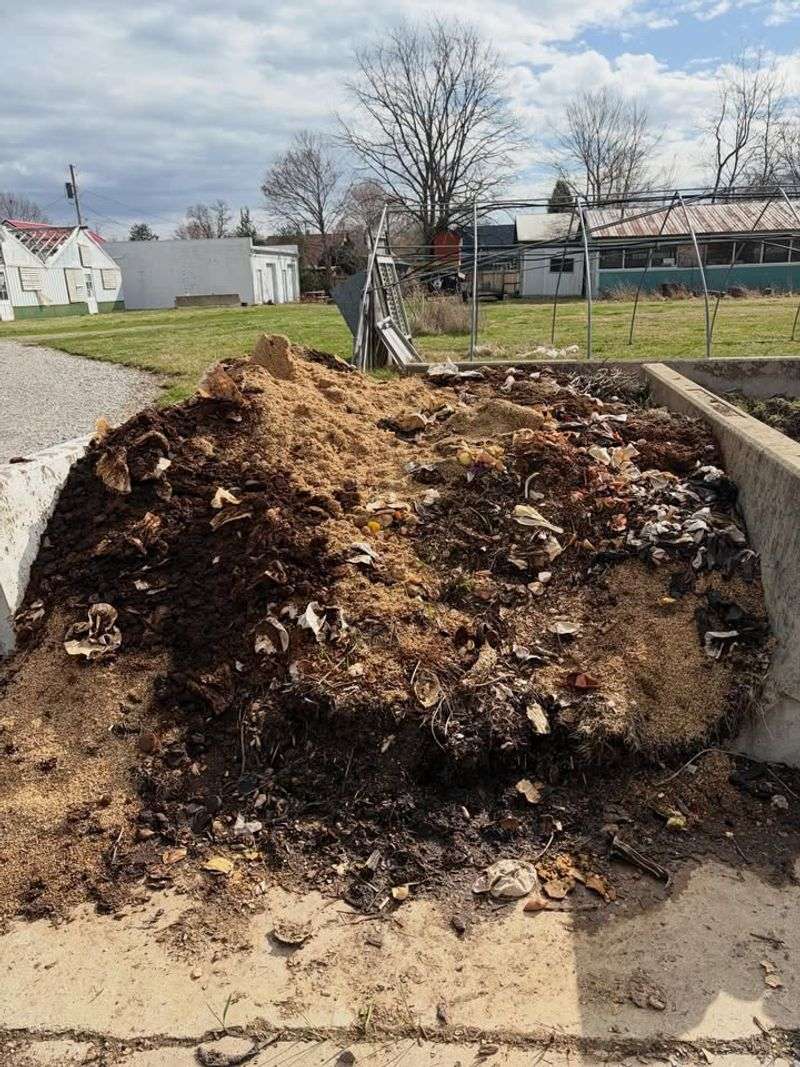 Fresh Manure Needs More Care Than A Backyard Pile Gives