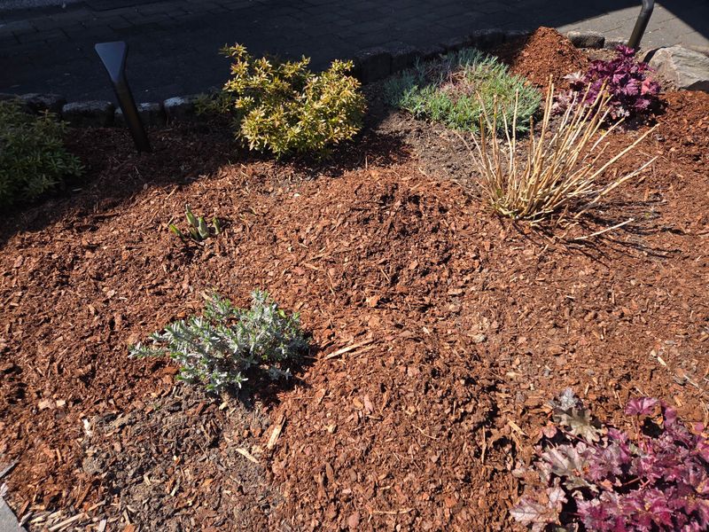 Fresh Mulch Every Year Can Build Up Too Fast