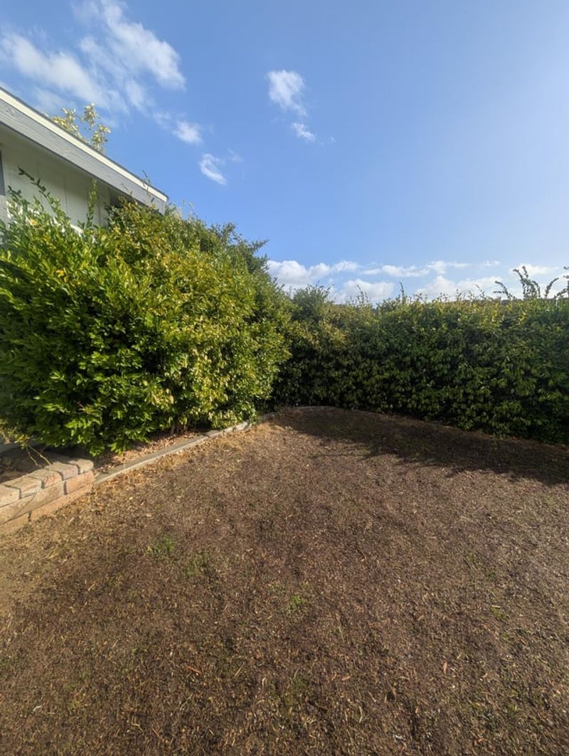 Front-Yard Privacy Has Extra Strings Attached