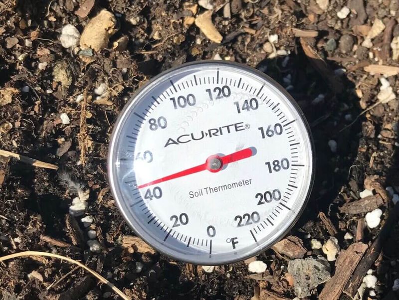 Frost-Free Doesn’t Mean Plant-Ready