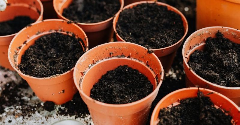Gardeners Can Refresh Old Potting Soil Instead Of Replacing It Completely Gardeners Can Refresh Old Potting Soil Instead Of Replacing It Completely