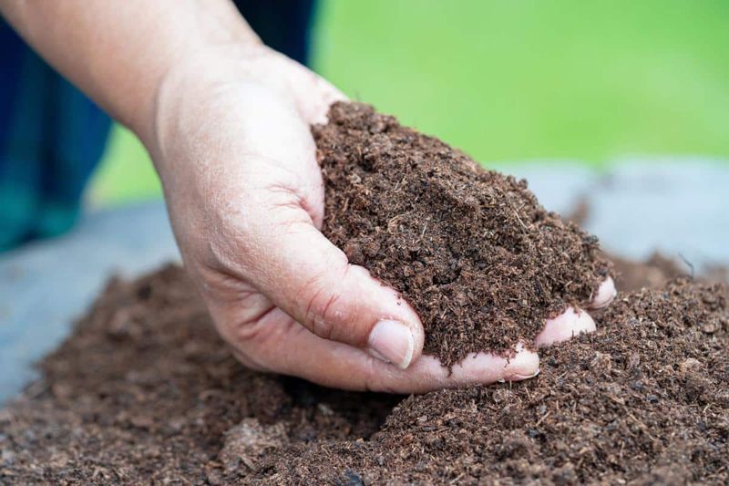 Gardeners Can Solarize Old Potting Soil To Reduce Problems Gardeners Can Solarize Old Potting Soil To Reduce Problems