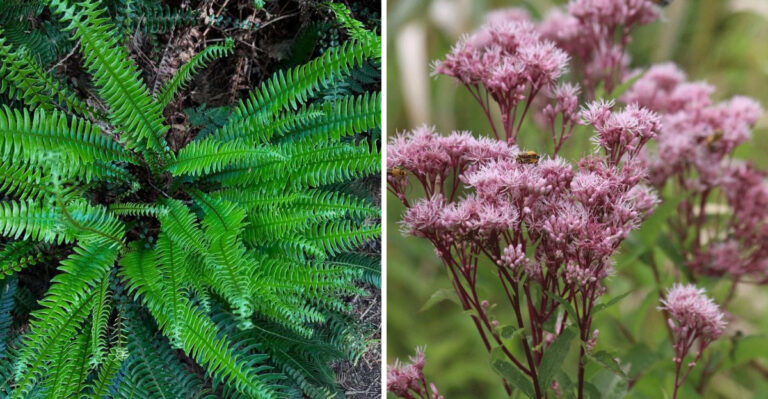 Georgia Gardeners Are Planting These To Invite Lightning Bugs Back Every Summer