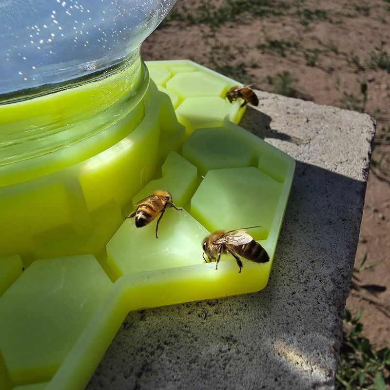 Give Bees Water Shelter And Safe Forage