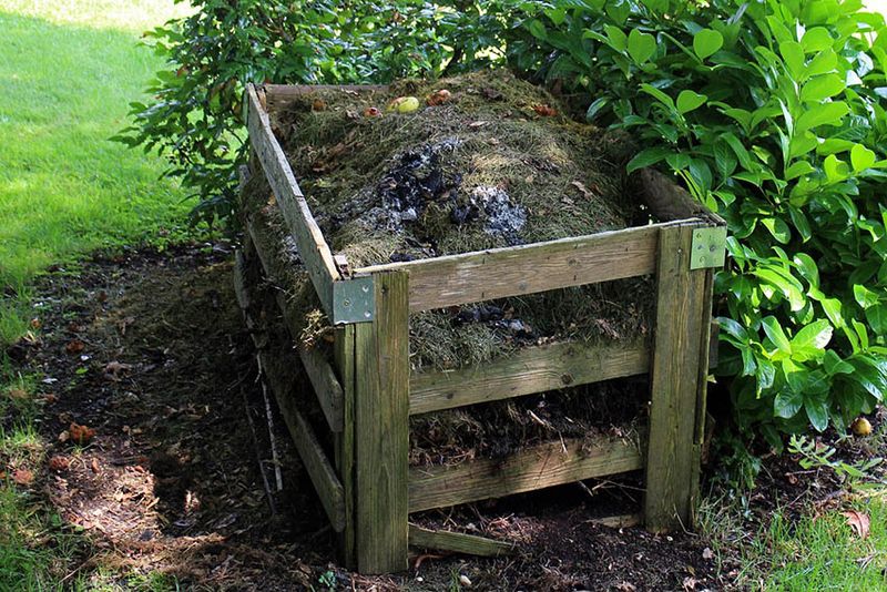 Grass Clippings Add A Quick Green Boost