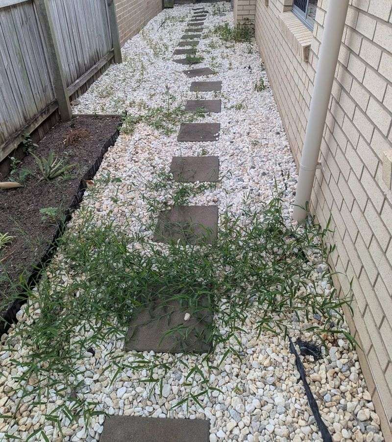Grass Clippings Make The Problem Worse Grass Clippings Make The Problem Worse