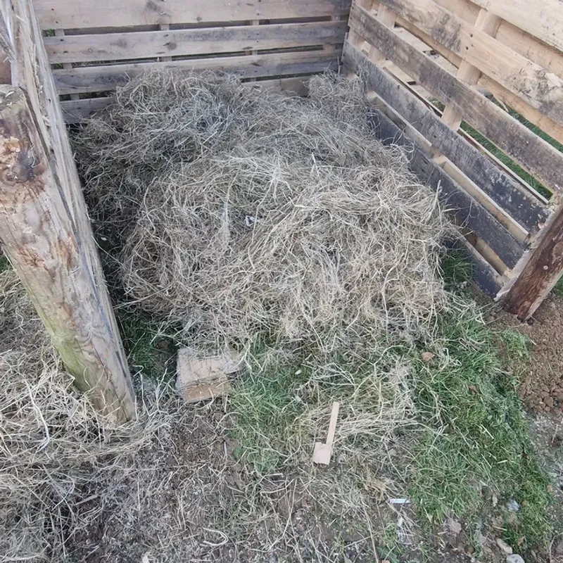 Grass Clippings