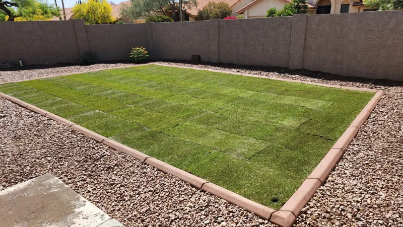 Gravel Borders Help Reduce Heat Buildup Near Plant Beds
