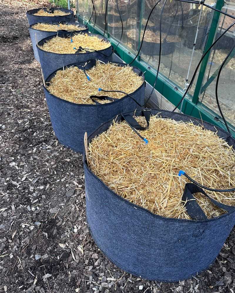 Grow Bags Leave More Room On Small Patios Grow Bags Leave More Room On Small Patios