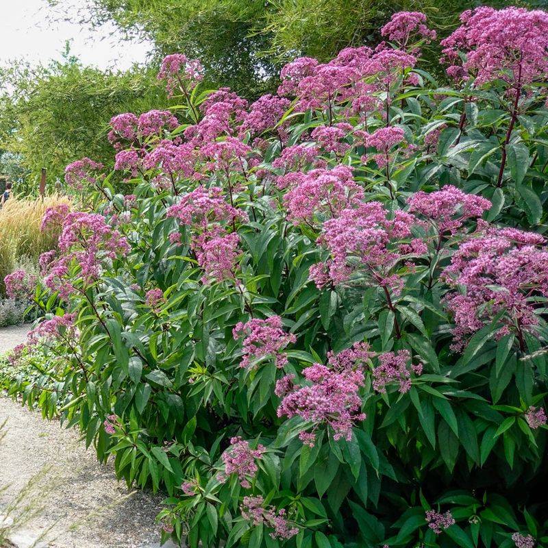 Grow It Where Rainwater Naturally Collects