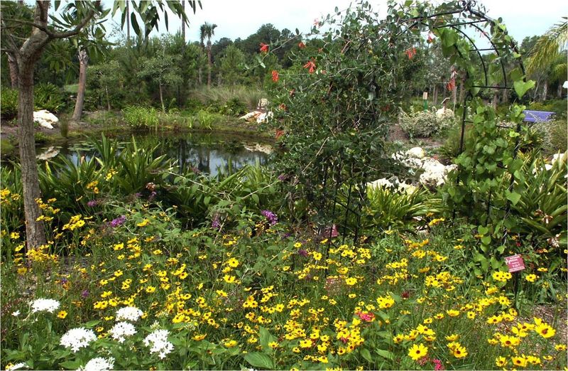 Grow Native Plants That Feed The Nighttime Food Web