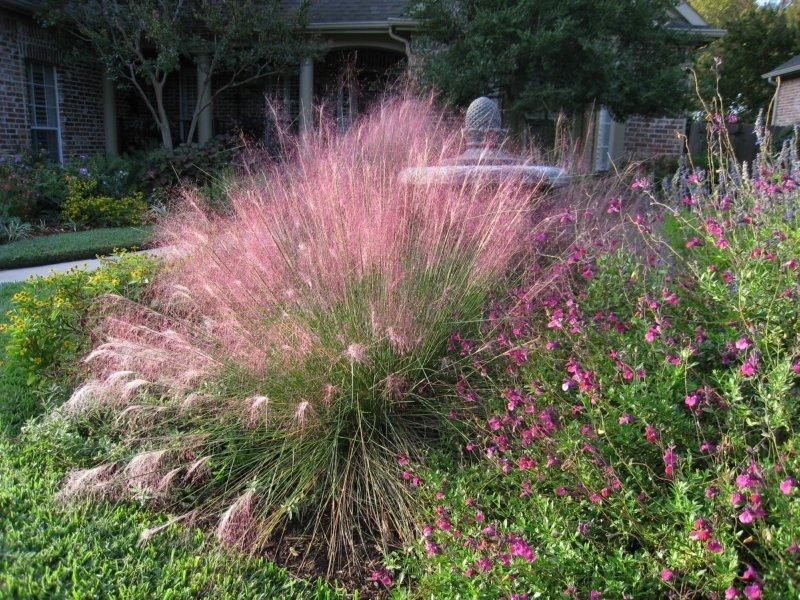 Gulf Muhly Adds Soft Texture And Fall Beauty