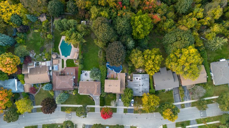 HOA Rules Can Override Private Property Tree Rights