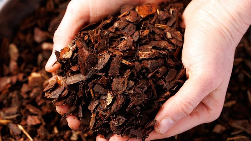 Hardwood Mulch Adds More Organic Matter Over Time