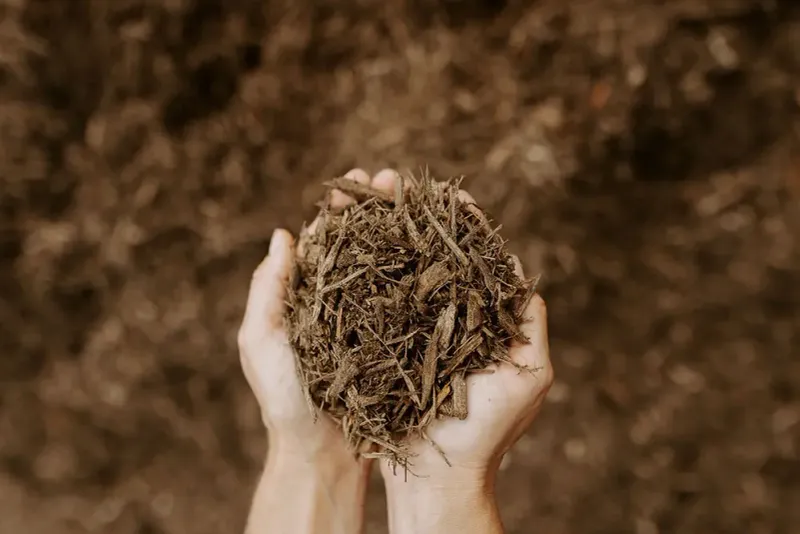 Hardwood Mulch Lasts Longer In Summer Rain