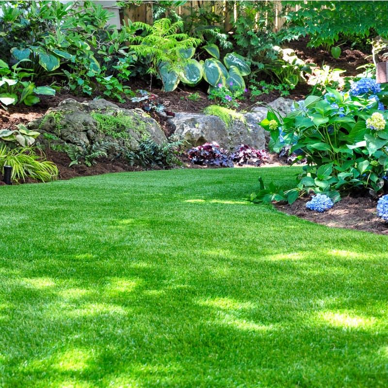 Healthy Well Maintained Michigan Lawns Usually Recover Faster From Minor Damage Healthy Well Maintained Michigan Lawns Usually Recover Faster From Minor Damage