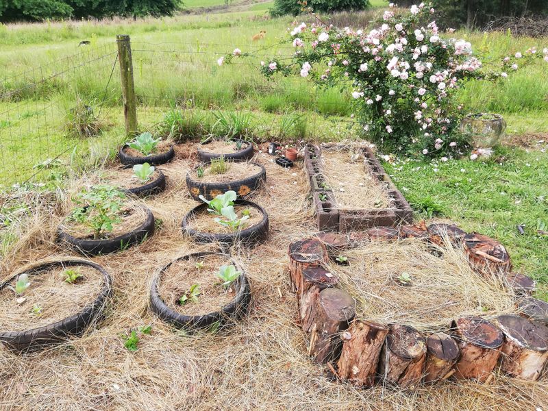Heavy Clay Beds That Stay Cold Too Long
