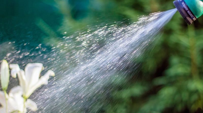 Heavy Spring Fertilizer Can Cause Problems Later In Summer