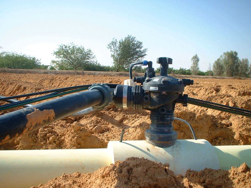 Heavy Watering Can Seal The Surface