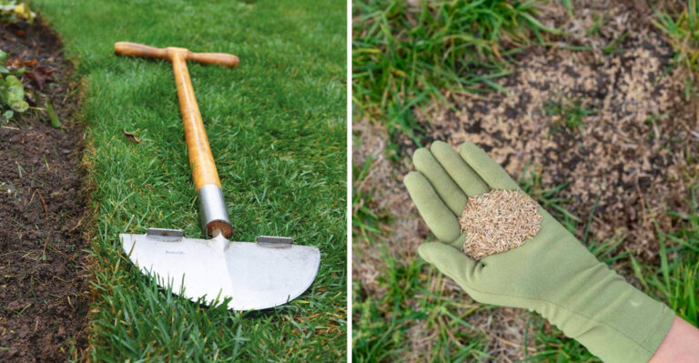 Here’s How Pennsylvania Gardeners Can Level A Bumpy Lawn Without The Use Of Heavy Machinery