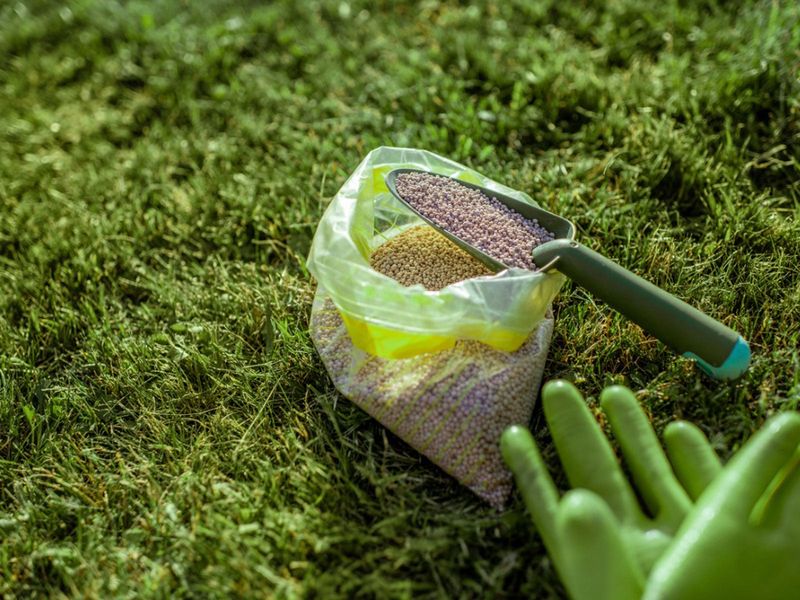 High-Phosphorus Lawn Fertilizers Are Often A Poor Fit High-Phosphorus Lawn Fertilizers Are Often A Poor Fit