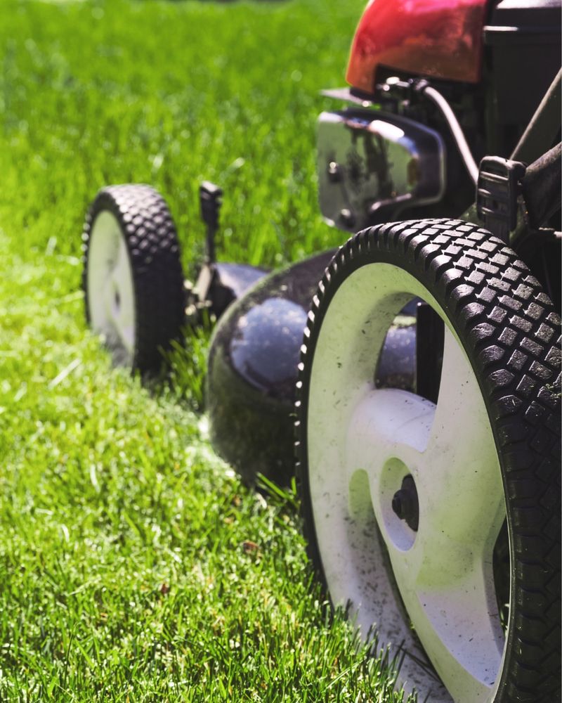 Higher Mowing Helps Fescue Handle Rising Heat Better