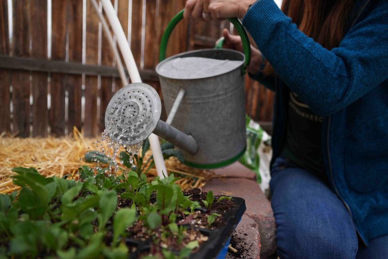 Hot Dry Winds Pull Moisture From Soil Fast