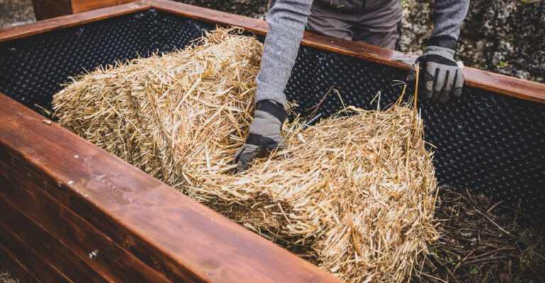 How Missouri Gardeners Fill Raised Beds Without Buying Bagged Soil