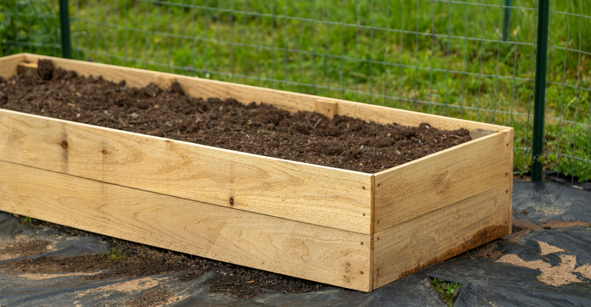 raised bed soil