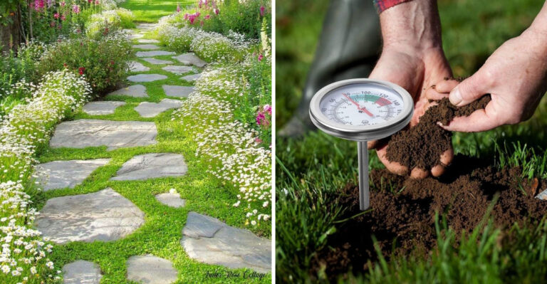 How To Find The Warmest Spot In Your Oregon Yard Before You Plant