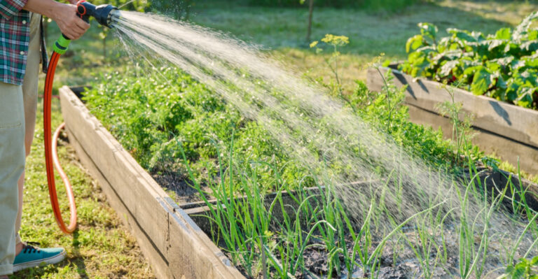 How To Get Thriving Raised Beds In New Jersey Without Overspending