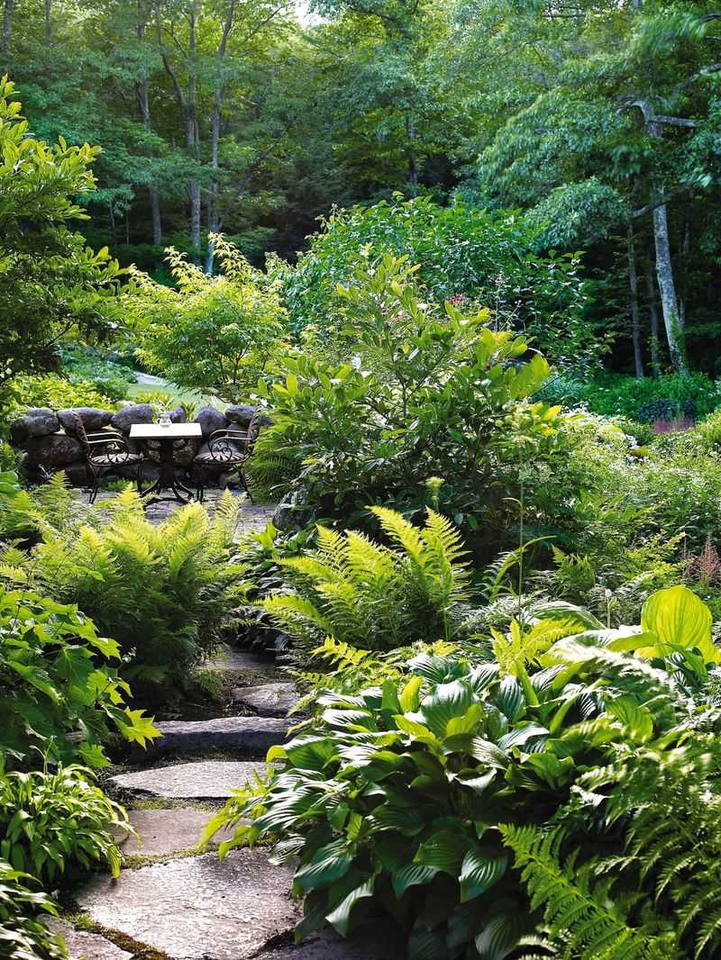 How To Plant Native Shrubs In Full Shade So They Actually Establish