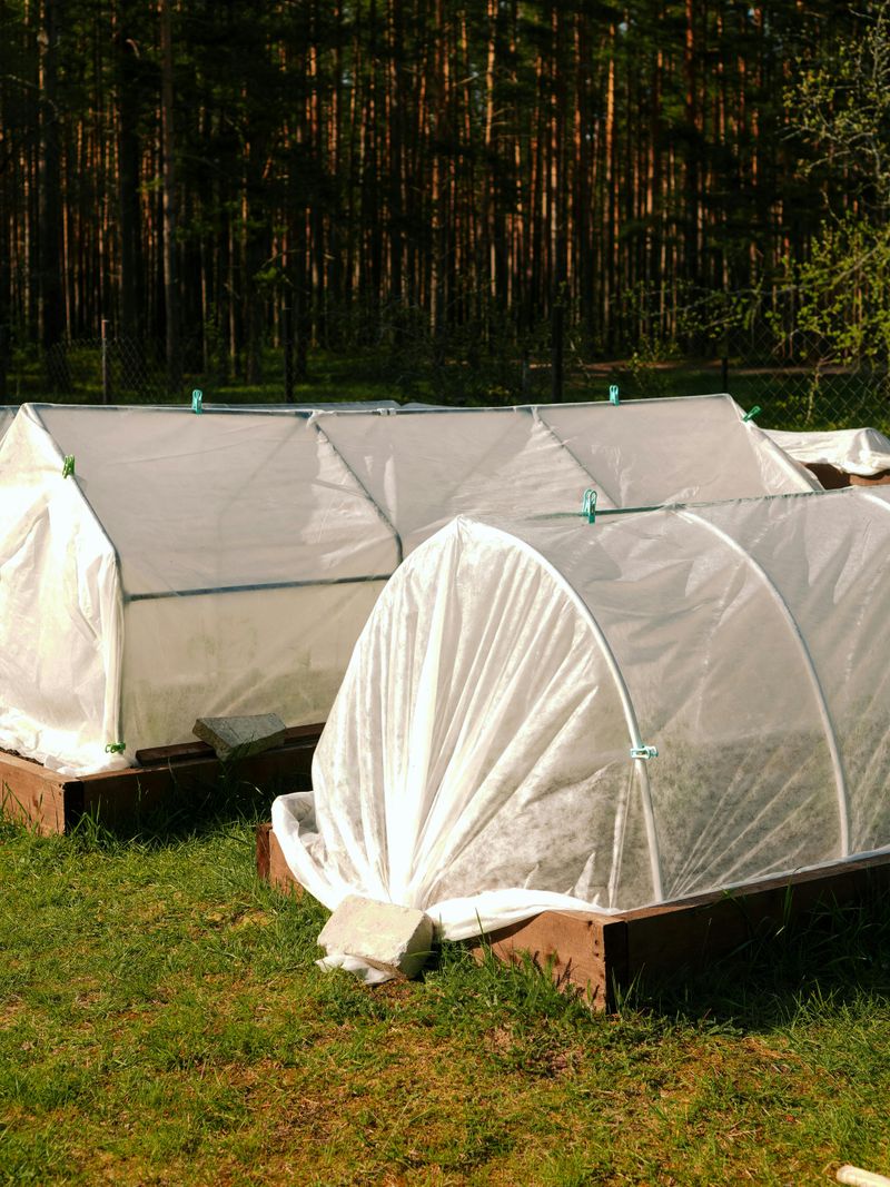 How To Protect Plants If You Can't Wait