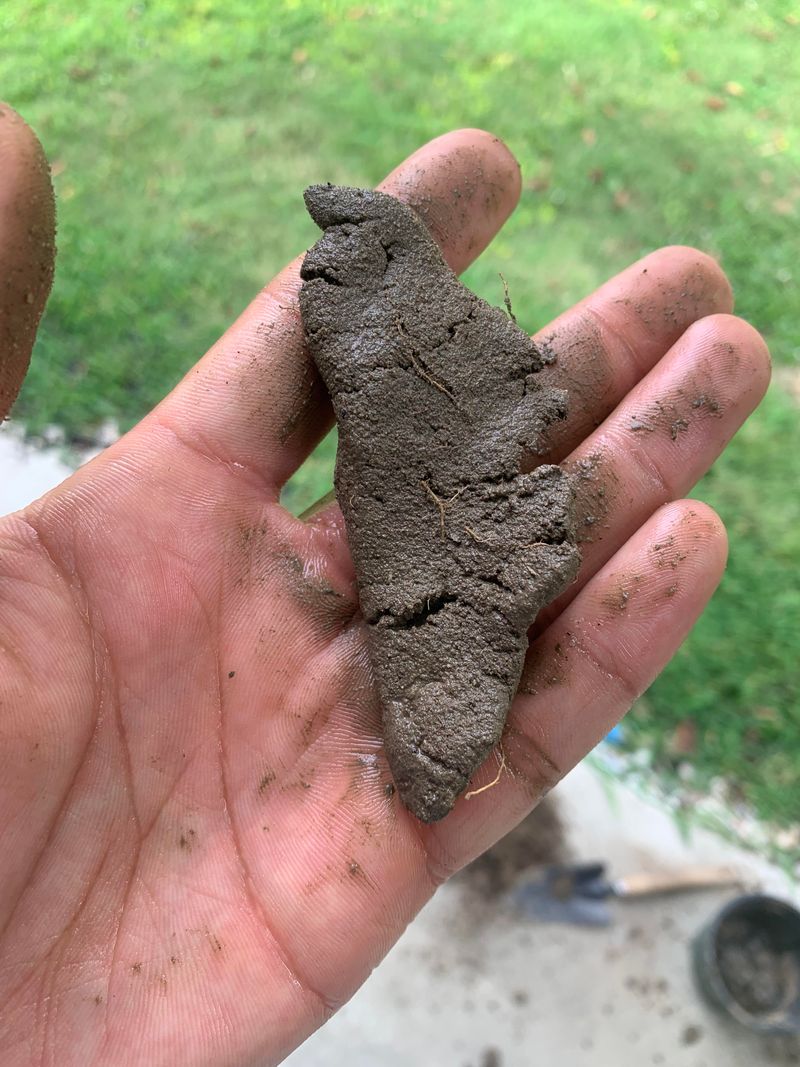 How To Tell If It Can Still Be Used