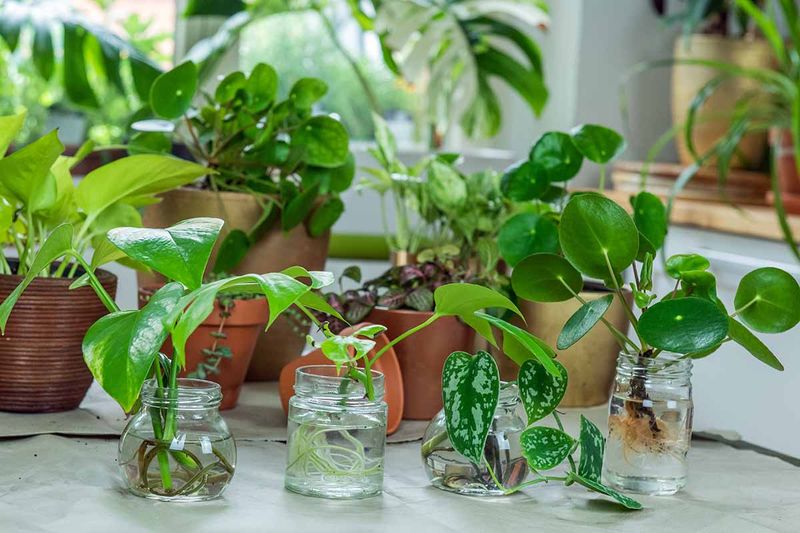 Humidity Matters More Than Most DIY Mixes