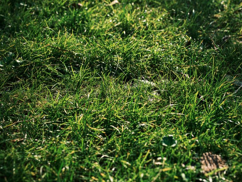 Identify Problem Areas Before You Start