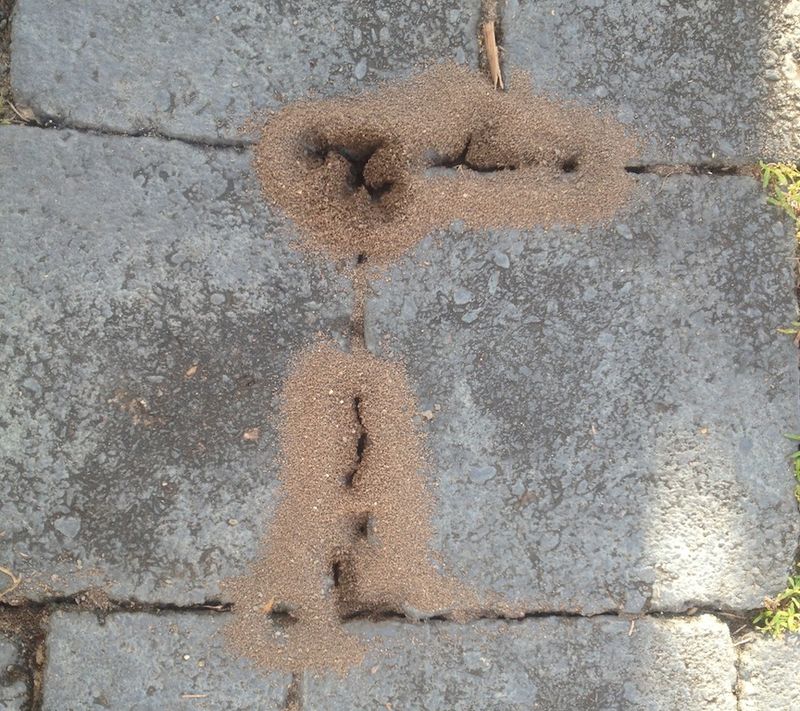 Ignoring Cracks Along Paths And Foundations