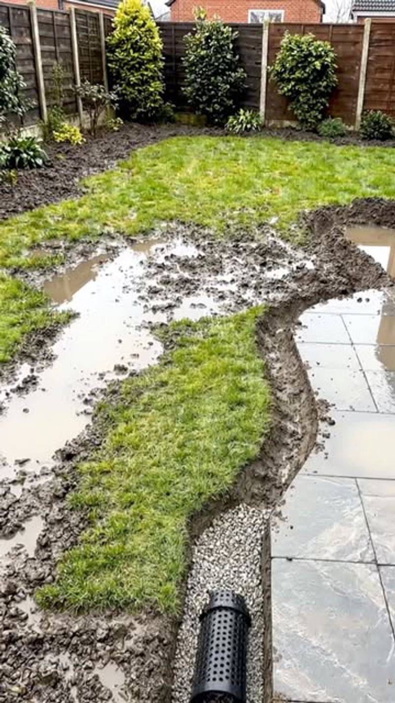 Ignoring Drainage Problems In Shady Areas